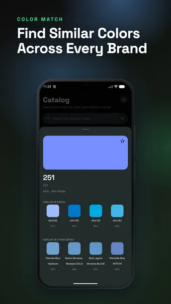 SprayDeck screenshot: cross-brand color match results for a spray color